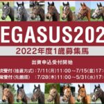 【2022年】ユニオンオーナーズクラブ2021年度産募集馬評価検討
