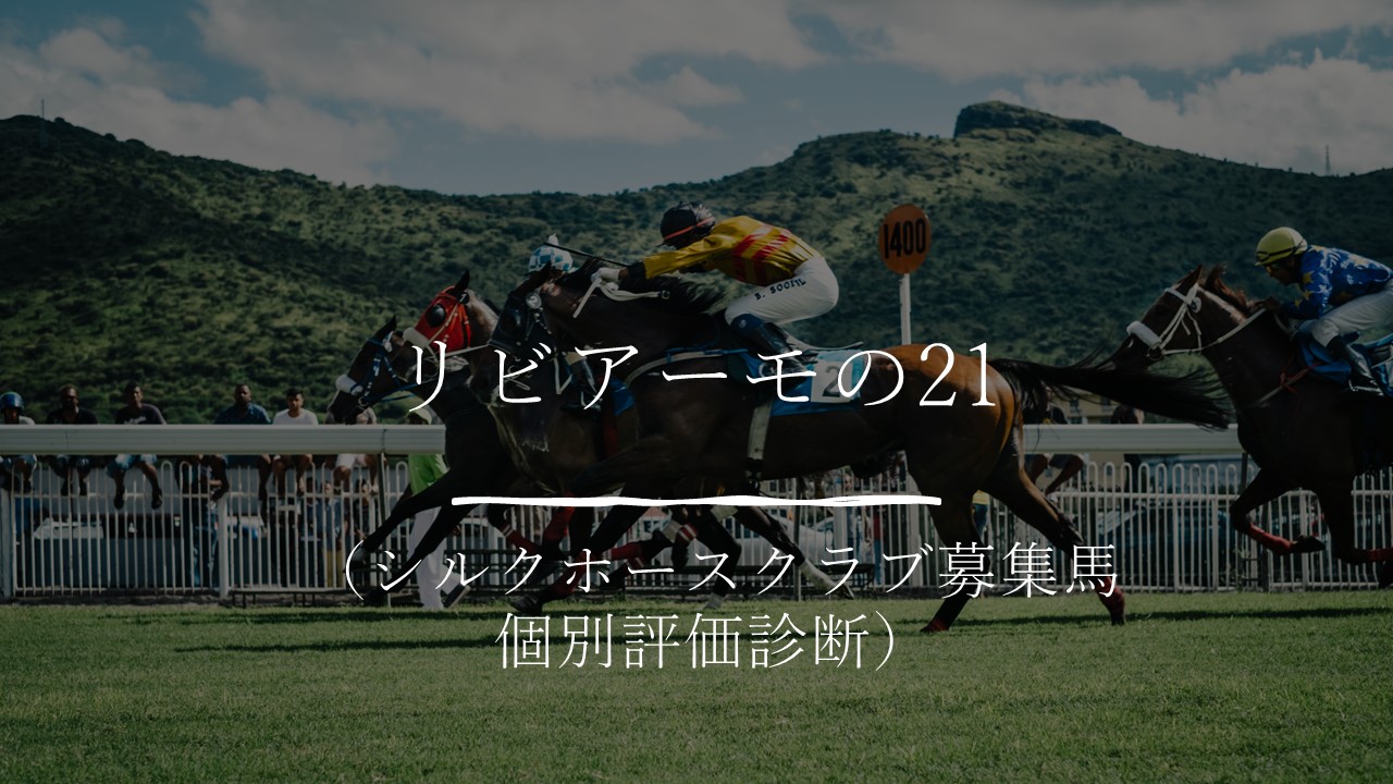 リビアーモの21 シルクホースクラブ募集馬 個別評価診断 明日仕事を辞めます