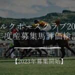 【2023年】シルクホースクラブ2022年度産募集馬評価検討（募集開始！）